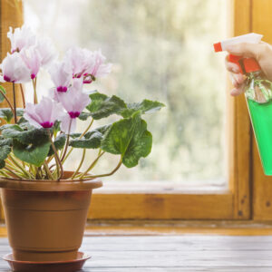 LINEA JARDIN